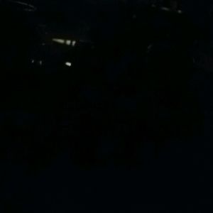 Meet your Posher, Damian